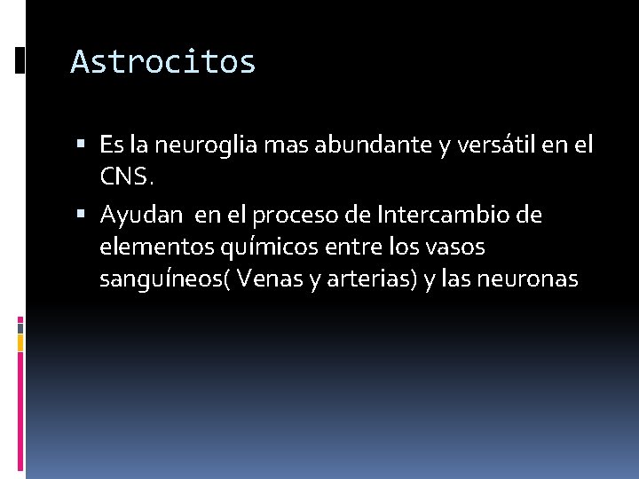 Astrocitos Es la neuroglia mas abundante y versátil en el CNS. Ayudan en el