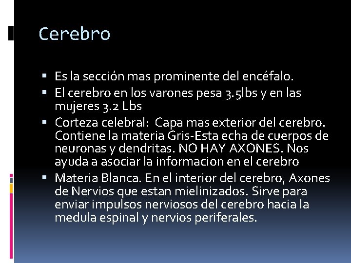 Cerebro Es la sección mas prominente del encéfalo. El cerebro en los varones pesa