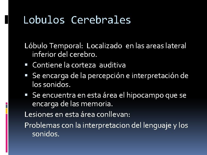 Lobulos Cerebrales Lóbulo Temporal: Localizado en las areas lateral inferior del cerebro. Contiene la