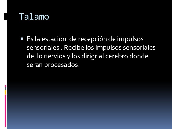 Talamo Es la estación de recepción de impulsos sensoriales. Recibe los impulsos sensoriales del