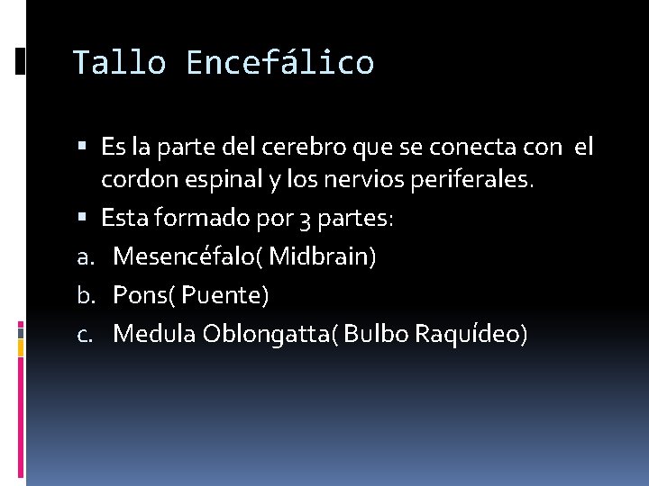 Tallo Encefálico Es la parte del cerebro que se conecta con el cordon espinal