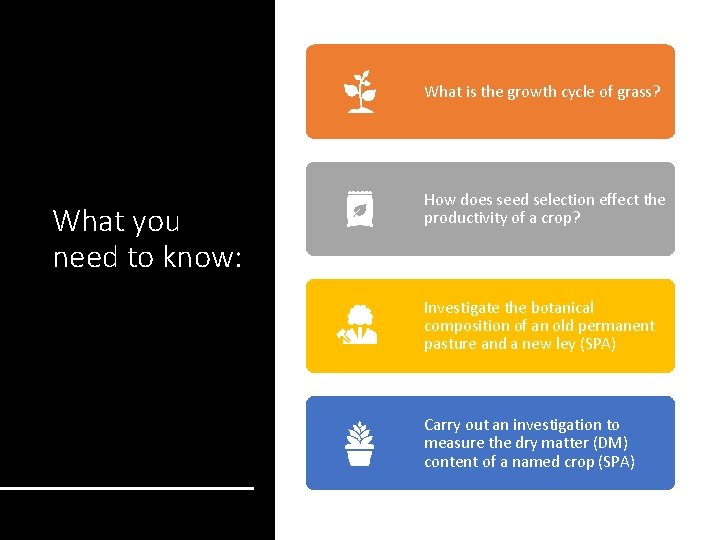 What is the growth cycle of grass? What you need to know: How does