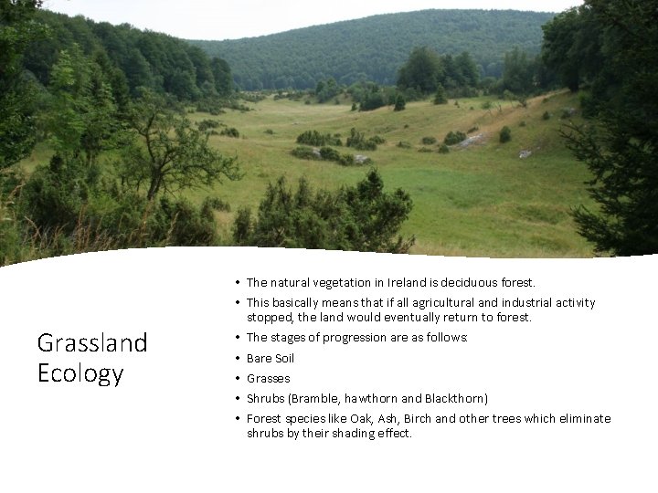 Grassland Ecology • The natural vegetation in Ireland is deciduous forest. • This basically