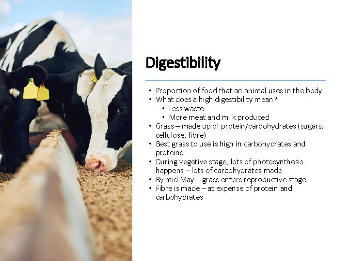 Digestibility • Proportion of food that an animal uses in the body • What