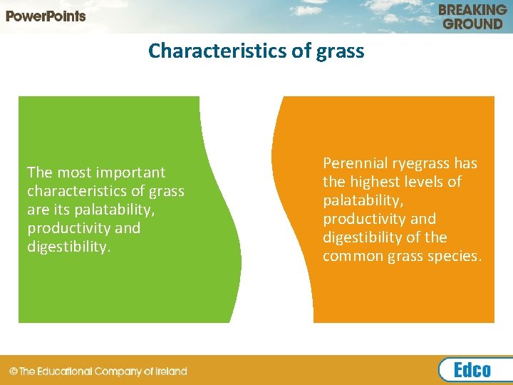 Characteristics of grass The most important characteristics of grass are its palatability, productivity and