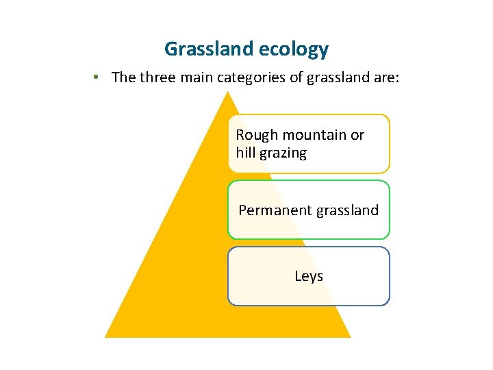 Grassland ecology • The three main categories of grassland are: Rough mountain or hill