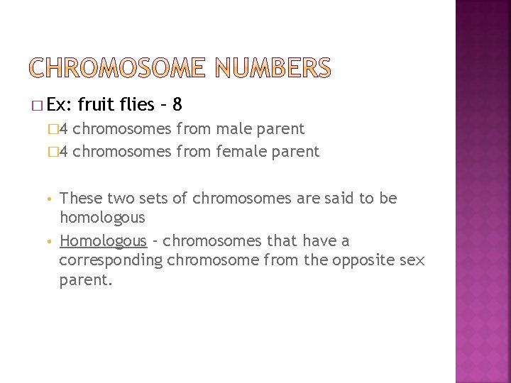 � Ex: fruit flies – 8 � 4 chromosomes from male parent � 4