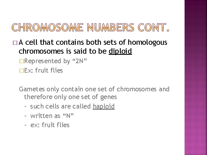�A cell that contains both sets of homologous chromosomes is said to be diploid