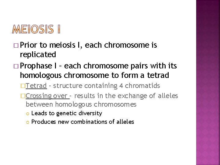 � Prior to meiosis I, each chromosome is replicated � Prophase I – each