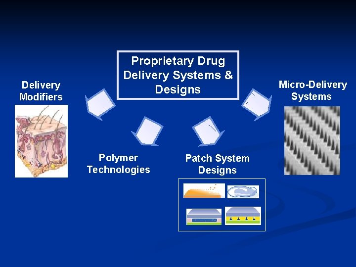 Delivery Modifiers Proprietary Drug Delivery Systems & Designs Polymer Technologies Patch System Designs Micro-Delivery