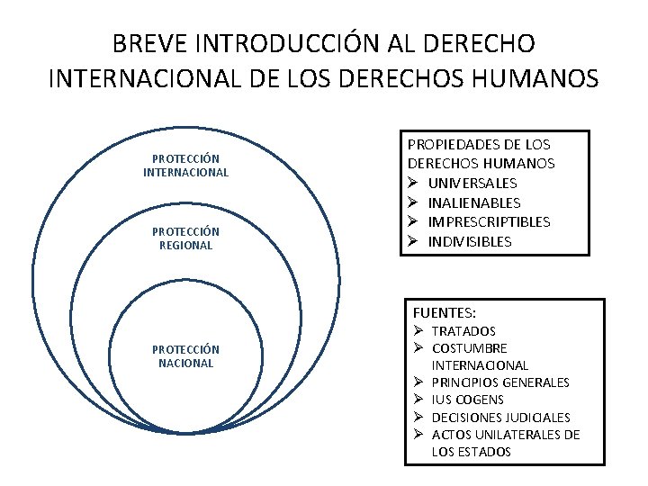 BREVE INTRODUCCIÓN AL DERECHO INTERNACIONAL DE LOS DERECHOS HUMANOS PROTECCIÓN INTERNACIONAL PROTECCIÓN REGIONAL PROPIEDADES