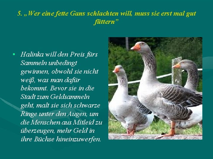 5. „Wer eine fette Gans schlachten will, muss sie erst mal gut füttern” • 5. „Wer eine fette Gans schlachten will, muss sie erst mal gut füttern” •