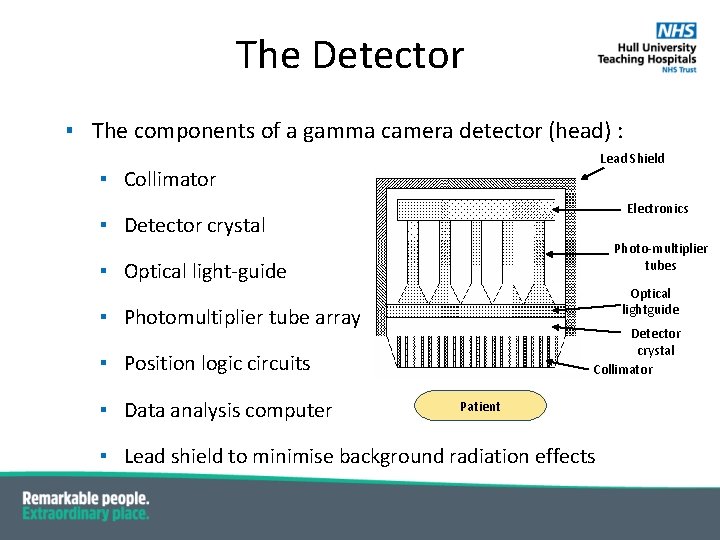 The Detector ▪ The components of a gamma camera detector (head) : Lead Shield The Detector ▪ The components of a gamma camera detector (head) : Lead Shield