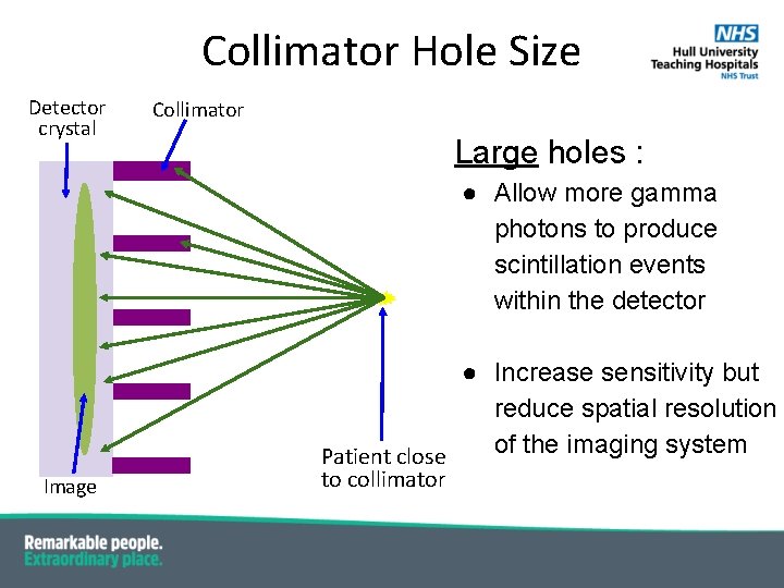Collimator Hole Size Detector crystal Collimator Large holes : ● Allow more gamma photons Collimator Hole Size Detector crystal Collimator Large holes : ● Allow more gamma photons