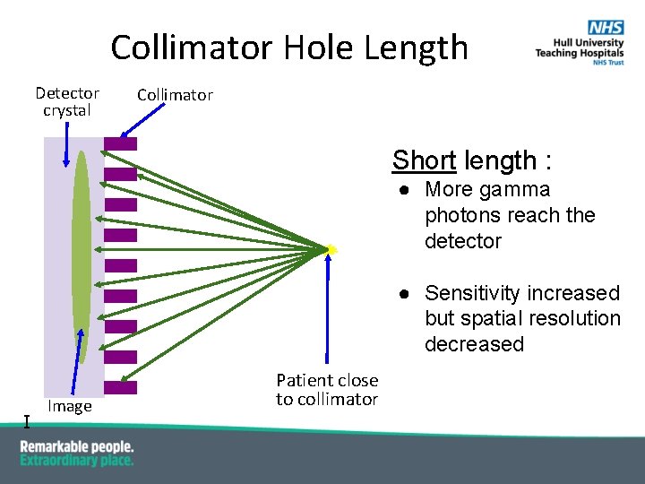 Collimator Hole Length Detector crystal Collimator Short length : ● More gamma photons reach Collimator Hole Length Detector crystal Collimator Short length : ● More gamma photons reach