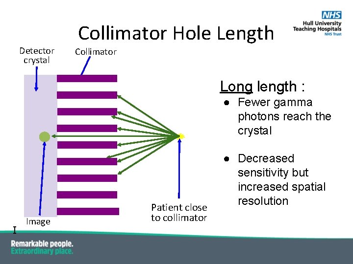 Detector crystal Collimator Hole Length Collimator Long length : ● Fewer gamma photons reach Detector crystal Collimator Hole Length Collimator Long length : ● Fewer gamma photons reach