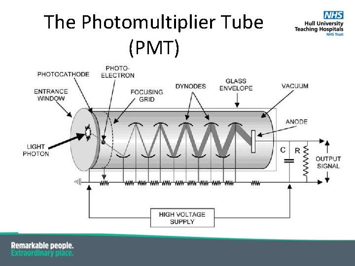 The Photomultiplier Tube (PMT) The Photomultiplier Tube (PMT)