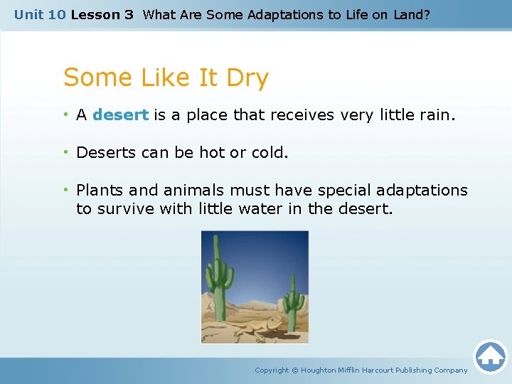 Unit 10 Lesson 3 What Are Some Adaptations to Life on Land? Some Like