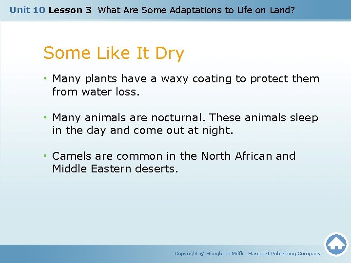Unit 10 Lesson 3 What Are Some Adaptations to Life on Land? Some Like