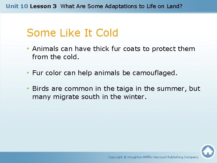 Unit 10 Lesson 3 What Are Some Adaptations to Life on Land? Some Like