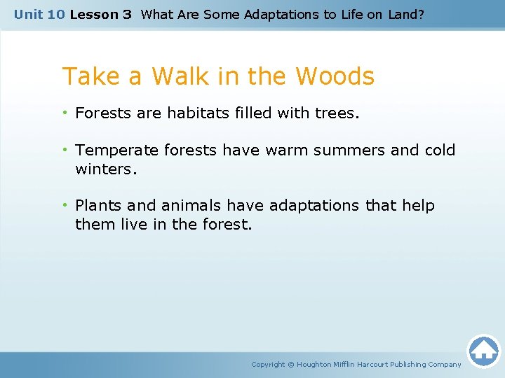 Unit 10 Lesson 3 What Are Some Adaptations to Life on Land? Take a