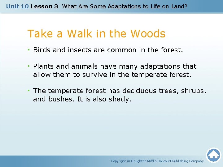 Unit 10 Lesson 3 What Are Some Adaptations to Life on Land? Take a