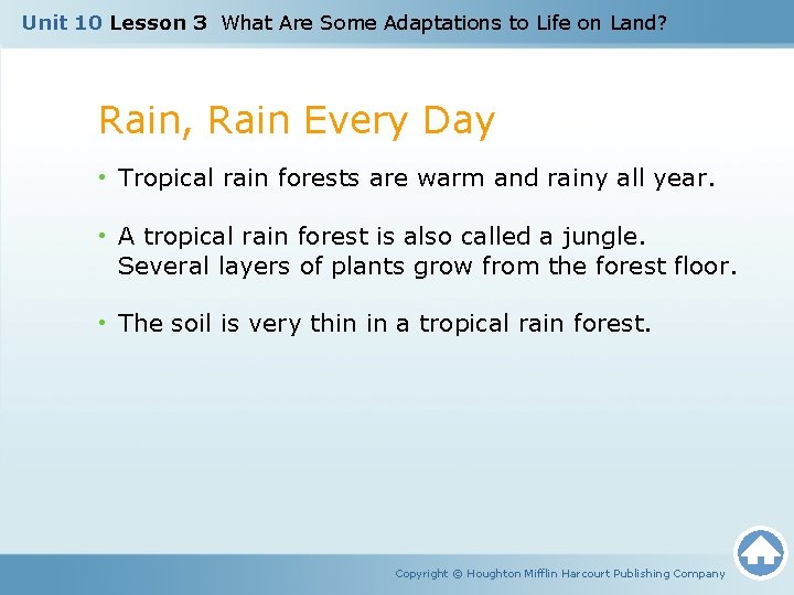 Unit 10 Lesson 3 What Are Some Adaptations to Life on Land? Rain, Rain