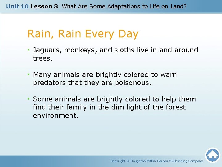 Unit 10 Lesson 3 What Are Some Adaptations to Life on Land? Rain, Rain