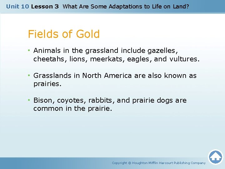 Unit 10 Lesson 3 What Are Some Adaptations to Life on Land? Fields of
