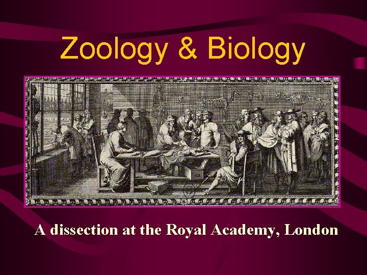 Zoology & Biology A dissection at the Royal Academy, London 