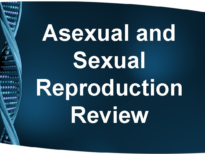 Asexual and Sexual Reproduction Review 
