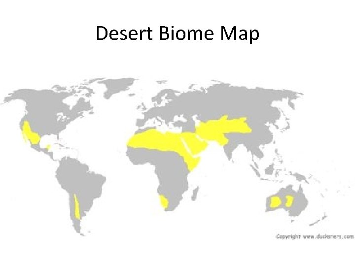 Desert Biome Map 