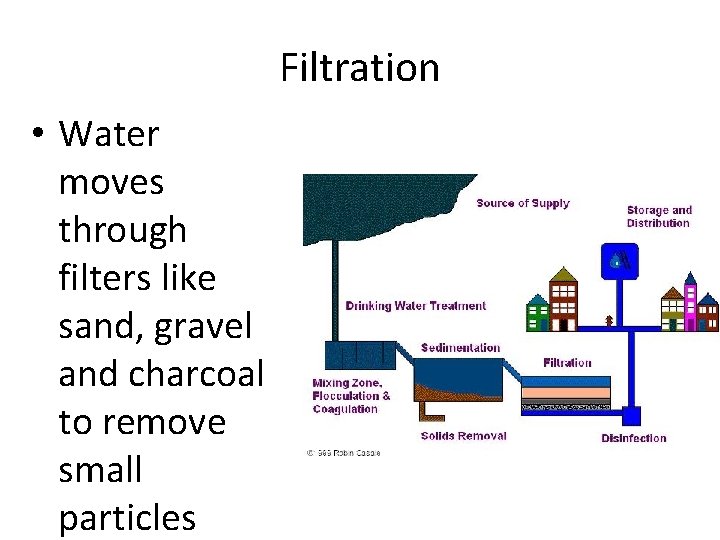 Filtration • Water moves through filters like sand, gravel and charcoal to remove small