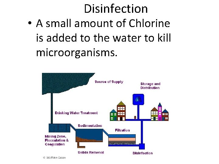 Disinfection • A small amount of Chlorine is added to the water to kill