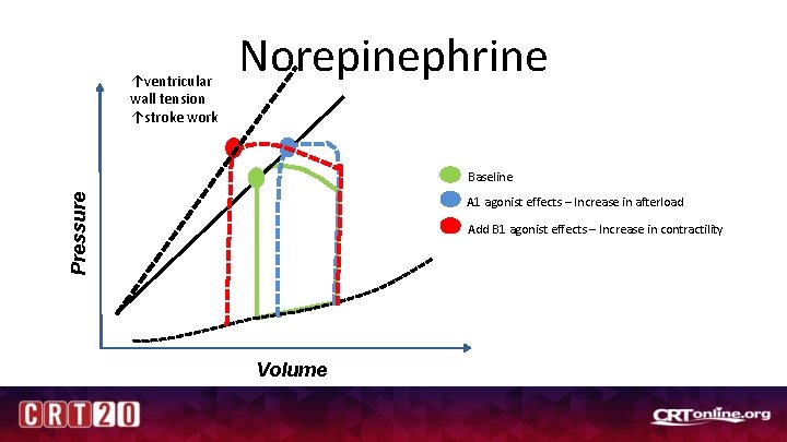↑ventricular wall tension ↑stroke work Norepinephrine Pressure Baseline A 1 agonist effects – Increase
