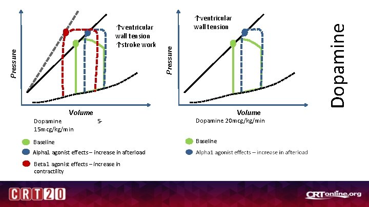 Volume Dopamine 15 mcg/kg/min 5 - Baseline Alpha 1 agonist effects – increase in
