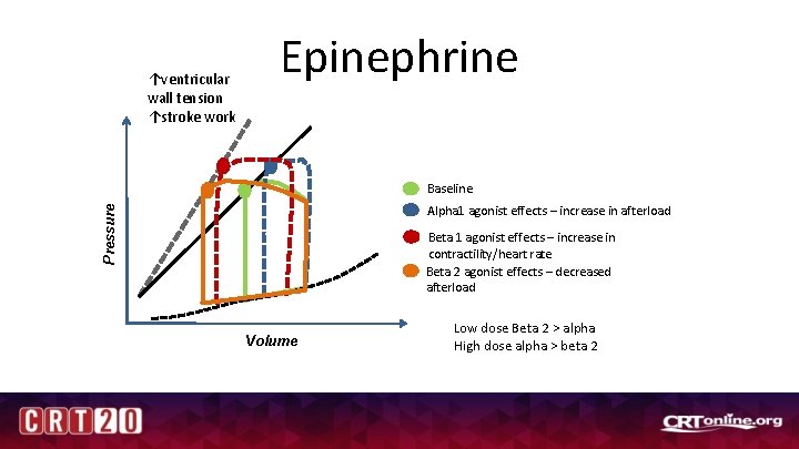 ↑ventricular wall tension ↑stroke work Epinephrine Baseline Pressure Alpha 1 agonist effects – increase