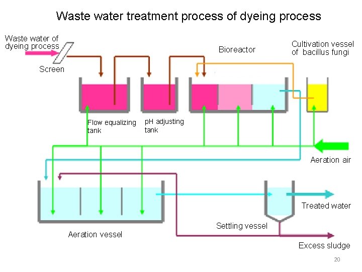 Waste water treatment process of dyeing process Waste water of dyeing process Bioreactor Cultivation