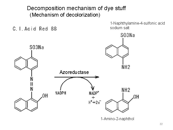Decomposition mechanism of dye stuff (Mechanism of decolorization) 1 -Naphthylamine-4 -sulfonic acid sodium salt