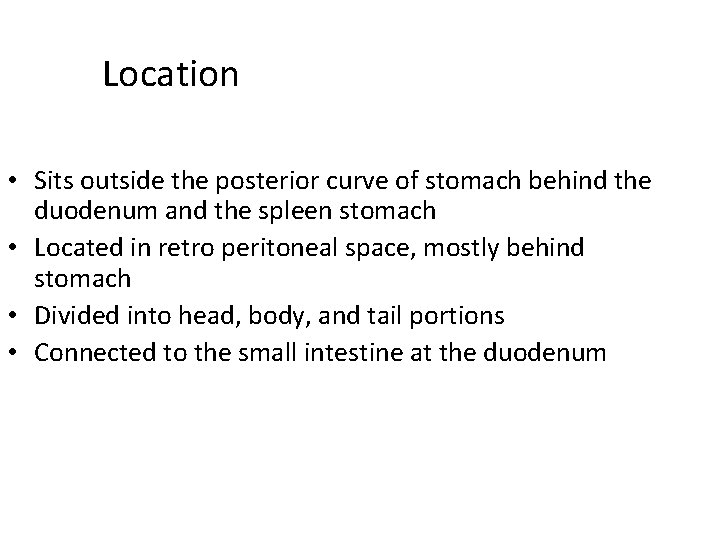 Location • Sits outside the posterior curve of stomach behind the duodenum and the