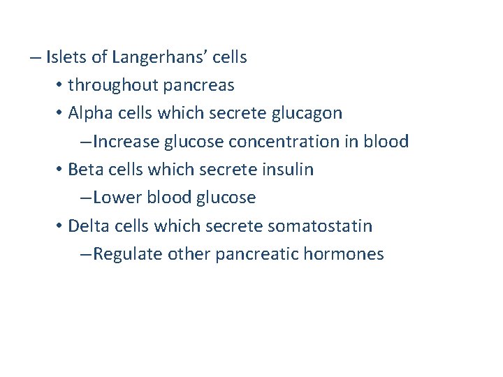 – Islets of Langerhans’ cells • throughout pancreas • Alpha cells which secrete glucagon