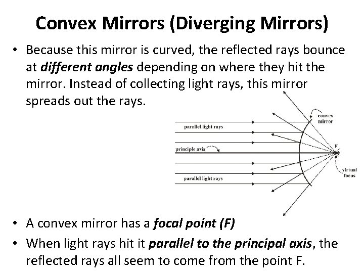 Convex Mirrors (Diverging Mirrors) • Because this mirror is curved, the reflected rays bounce