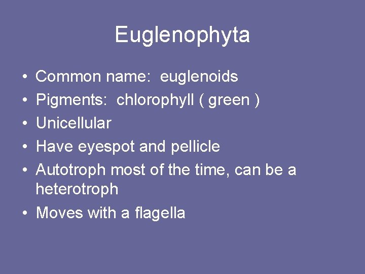 Euglenophyta • • • Common name: euglenoids Pigments: chlorophyll ( green ) Unicellular Have