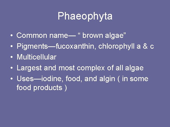 Phaeophyta • • • Common name— “ brown algae” Pigments—fucoxanthin, chlorophyll a & c