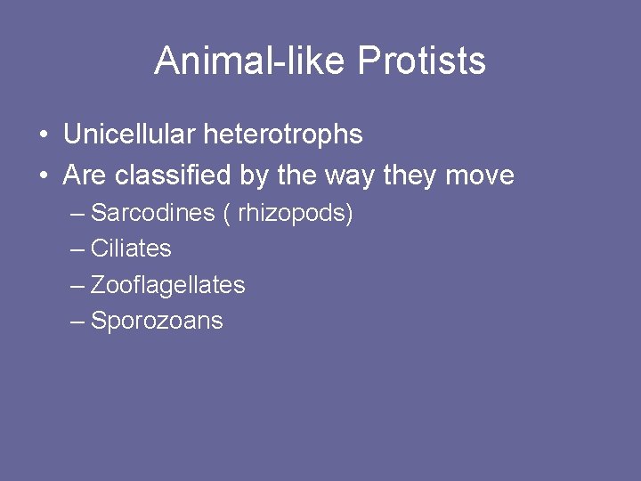 Animal-like Protists • Unicellular heterotrophs • Are classified by the way they move –
