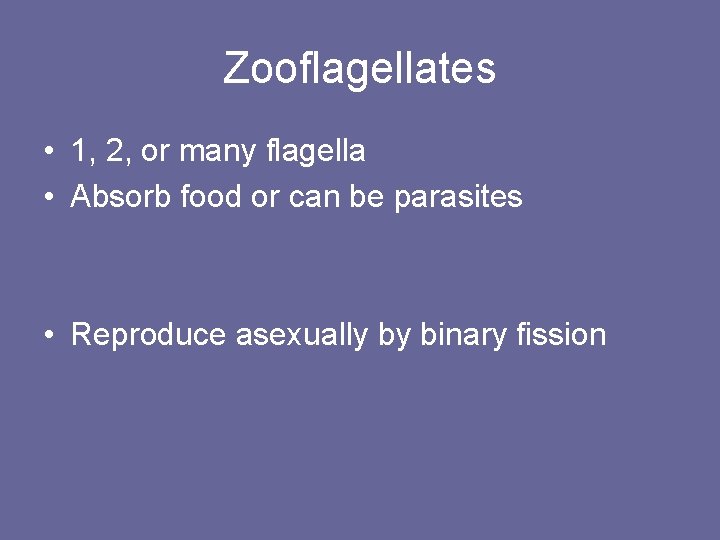 Zooflagellates • 1, 2, or many flagella • Absorb food or can be parasites