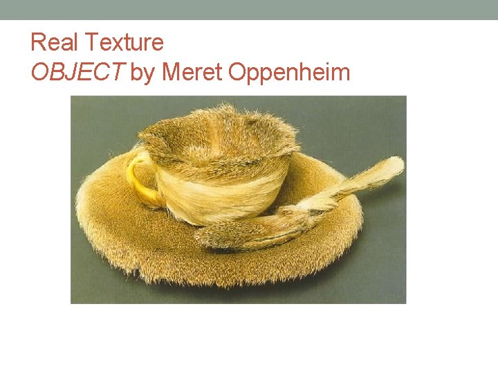 Real Texture OBJECT by Meret Oppenheim 