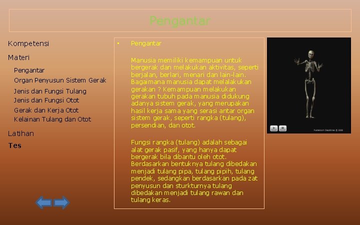 Pengantar Kompetensi Materi Pengantar Organ Penyusun Sistem Gerak Jenis dan Fungsi Tulang Jenis dan