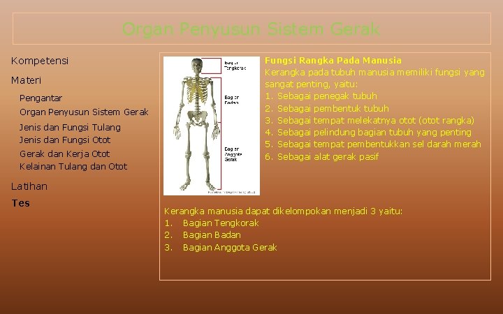 Organ Penyusun Sistem Gerak Kompetensi Materi Pengantar Organ Penyusun Sistem Gerak Jenis dan Fungsi