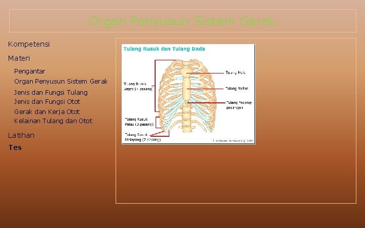 Organ Penyusun Sistem Gerak Kompetensi Materi Pengantar Organ Penyusun Sistem Gerak Jenis dan Fungsi